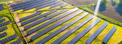 Solar Resource Compass - Free trial