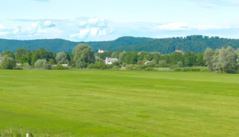 Sustainability consulting