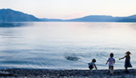 Environmental impact assessment (EIA)