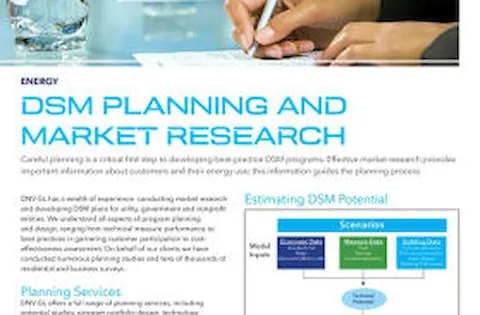 DSM Planning and Market Research