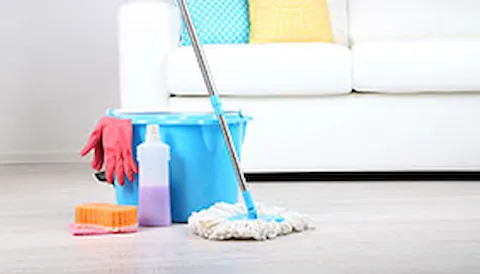 BRCGS Consumer Product Standards issue 4