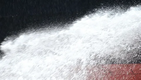 Ballast Water Management Plan (BWMP) Generator