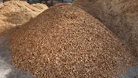 Biomass co-firing services