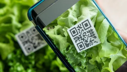 Digital product passports: how to choose the best DPP to bridge the consumer trust gap on sustainability