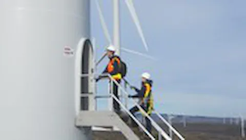 Lifetime extension of wind turbines