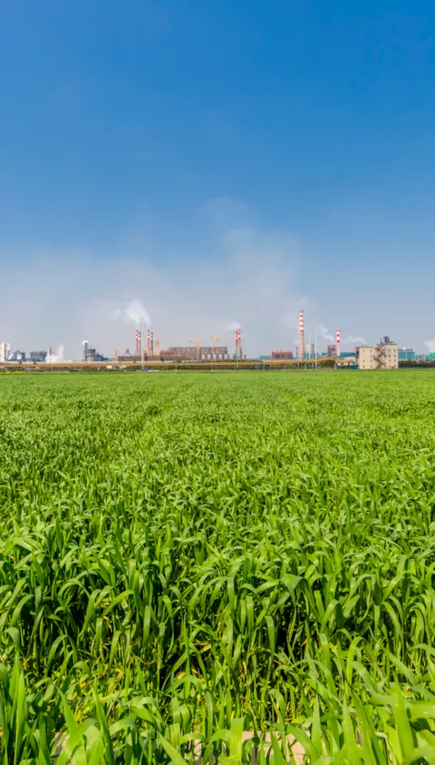 Green field with an industrial zone in the horizon