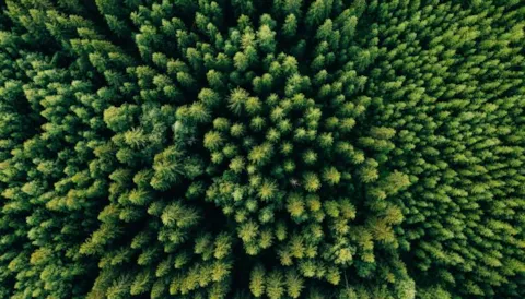 Deforestation-free Products Regulation