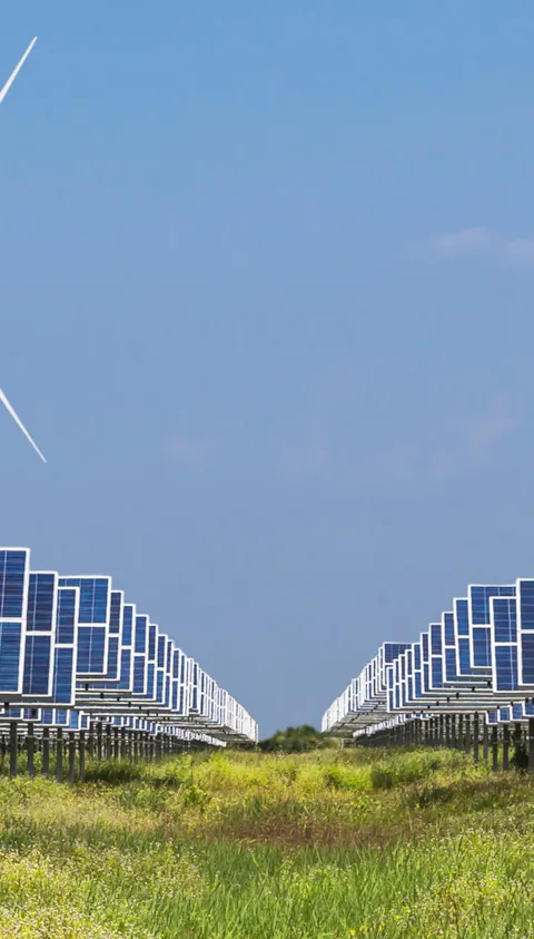 DNV statistics and insights