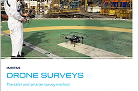 Drone surveys flyer