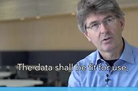 Data quality: What is it?