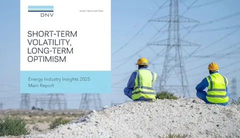 Two workers viewing power grids