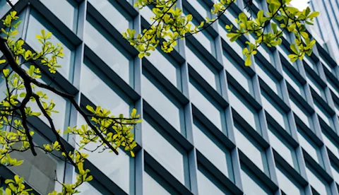 Environment and energy