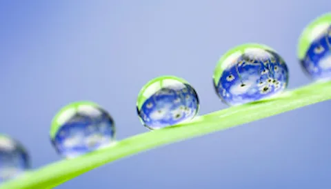 Environmental compliance management