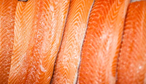 Lerøy Seafood's green finance framework