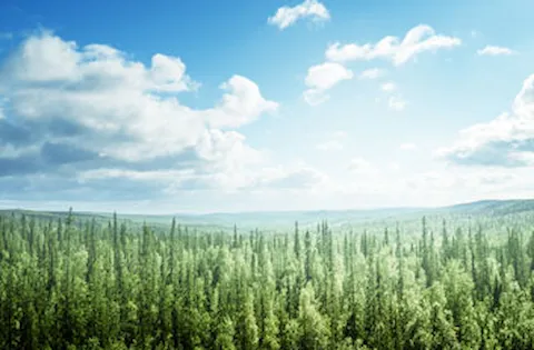 Environmental Management snapshot