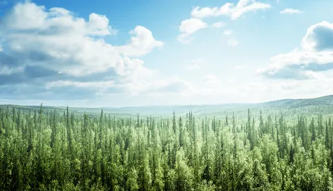 Espresso survey - Environmental audit findings snapshot