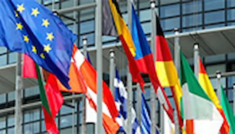 European Energy Efficiency Directive Article 8