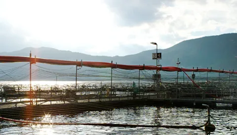 Aquaculture infrastructure & farm technology