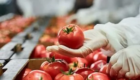 IFS Global Markets - Food