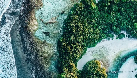 Biodiversity and coexistence