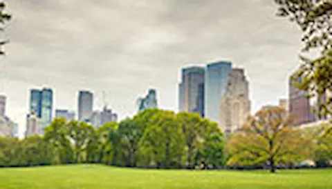 ISO 14001 Certification: Environmental Management