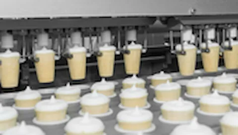 ISO 22000 Certification: Food Safety Management