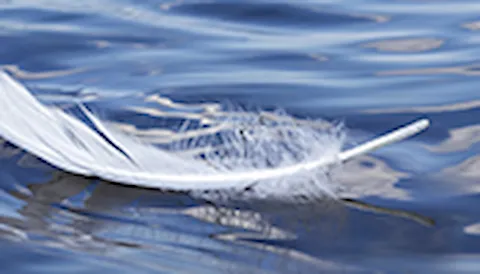 Lightweight structures and composites analysis