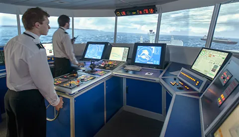 软件和数字化服务