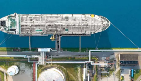 Biofuel insetting: a strategic approach to decarbonization in maritime transport