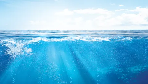 Environmental risk management