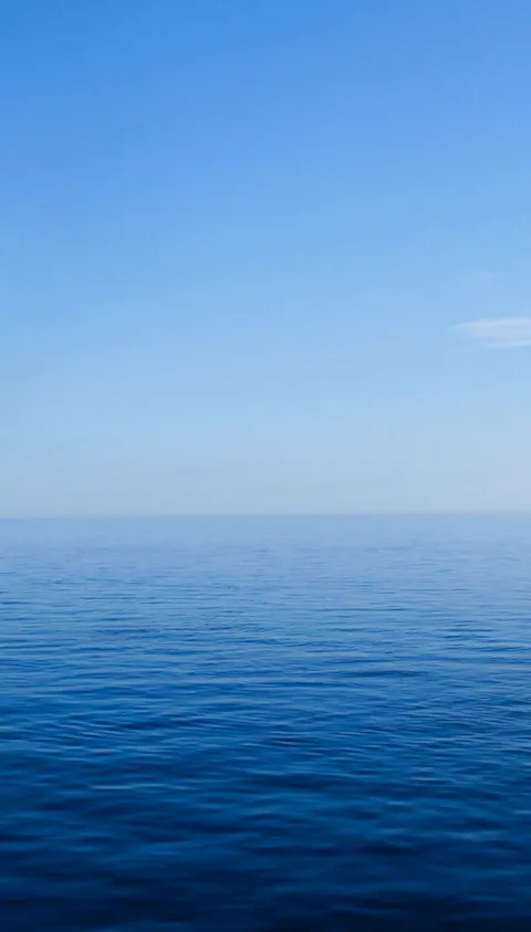 Offshore wind farm in the North Sea