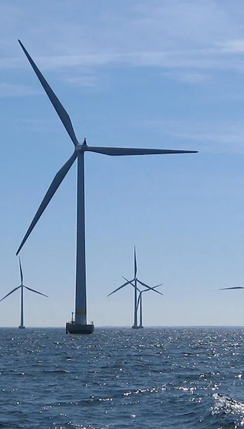 Offshore wind farm