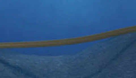 Digital free span assessment