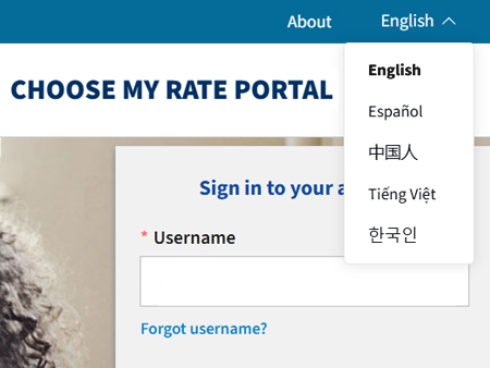 Multilingual Support