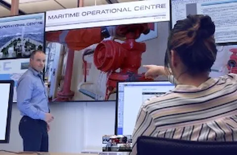 Video: Remote surveys