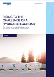 Rising to the challenge - report cover - w358pxl Rising to the challenge - report cover - w358pxl