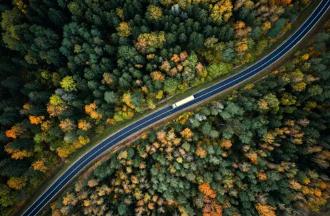 DNV Cyber and Sveaskog