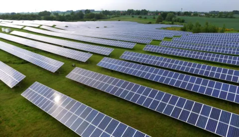 行業洞悉（英文版）