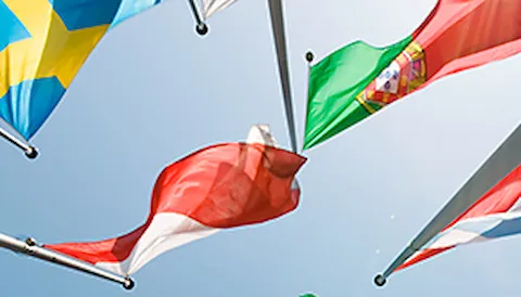 Statutory and Flag State Services