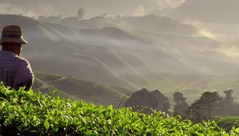 Sustainable sourcing