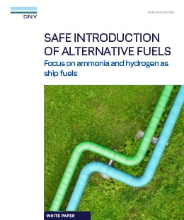 Ammonia Hydrogen publication