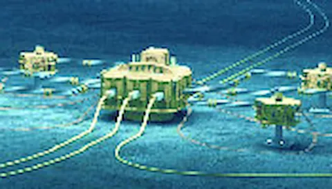 Verification of subsea facilities