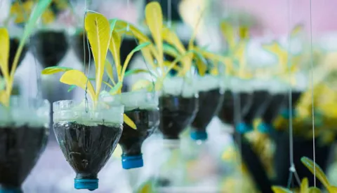 Recycle water bottle pot