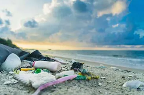 What matters to consumers in the circular transition?