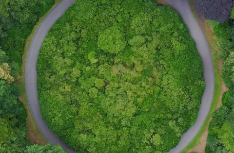 How are companies transitioning towards the circular economy?