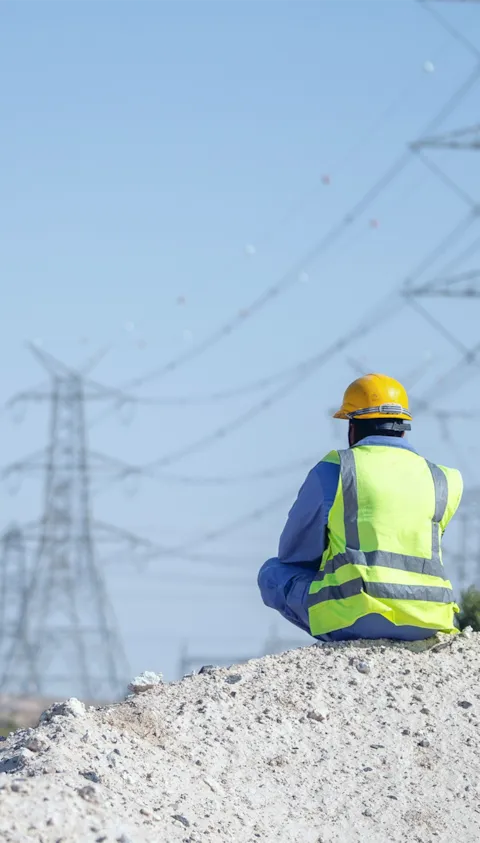 Two workers viewing power grids