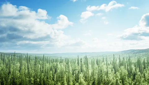 Espresso survey - Conclusiones de la auditoría medioambiental snapshot