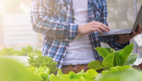 Information Security in Food and Beverage industry