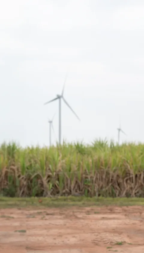 Creating a smarter energy system with trustworthy digital assets