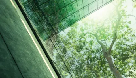 Are companies committed to sustainability?